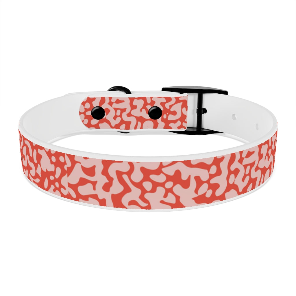 Sticky Fingers Dog Collar – Sticky Fingers Sweets & Eats